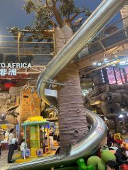 -卡通尼·Safari非洲探索乐园·生日会(金桥国际商业广场店)