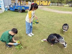 -前小桔亲子创意农场·草莓采摘·露营烧烤