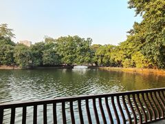 -荔湾湖公园