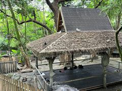 -呀诺达热带雨林
