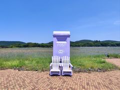 -济州森林小火车生态公园