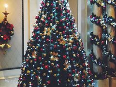 -广州富力丽思卡尔顿酒店