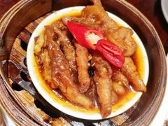 xo酱蒸凤爪-佐敦茶餐厅(恒茂华城店)