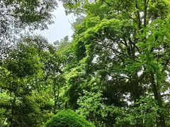 -青城山