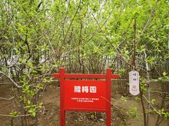 -丰台花园