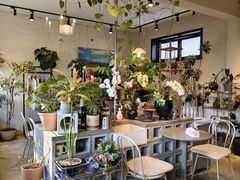 -青莯_Percher Coffee Shop(皮市街店)