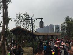 -枫香湖儿童公园