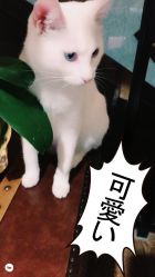 -HMC美容按摩SPA馆