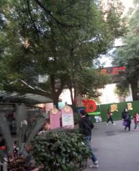 -南京市儿童医院(广州路院区)
