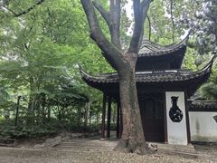 -汇龙潭