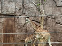 -武汉动物园