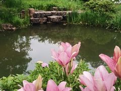 -无锡梅园公园