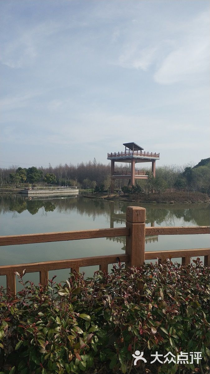 康桥生态园沔西绿地