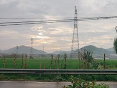 -李东农庄(中南百草园地标店)
