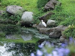 -都江堰景区
