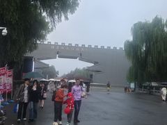 -洛阳市隋唐城遗址植物园