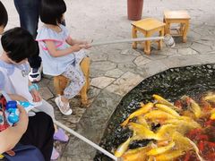 -成飞公园