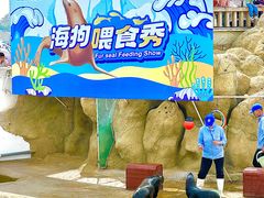 -秦皇岛乐岛海洋王国