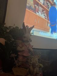 -伊莎贝拉婚礼庄园(顾村店)