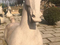 -鹦鹉寺公园