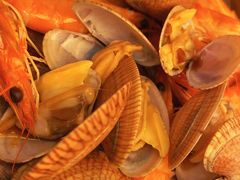 -马哥孛罗咖啡厅·Cafe Marco (厦门马哥孛罗东方大酒店)