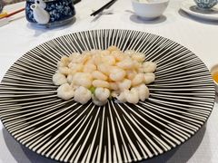 -新雅粤菜馆(南京东路店)