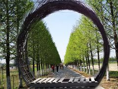 -嘉北郊野公园