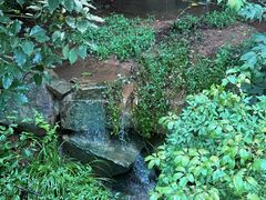 -杭州半山国家森林公园