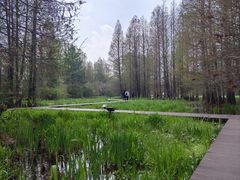 -溱湖国家湿地公园