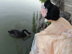 -洛阳市隋唐城遗址植物园