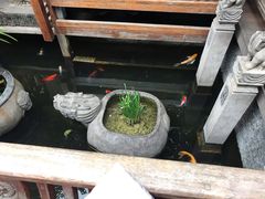 -三只耳火锅(宽窄巷子店)