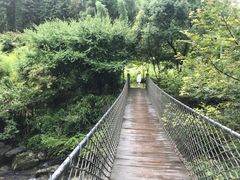 -石台牯牛降景区