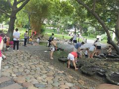 -成都市活水公园
