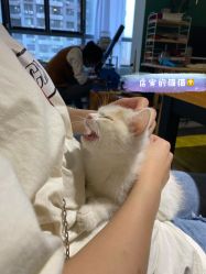 -邵老师打金·黄金加工(大望路总店)