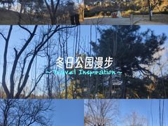 -元大都城垣遗址公园