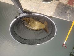 -酷鱼垂钓CLUB(朝阳区博大路店 )