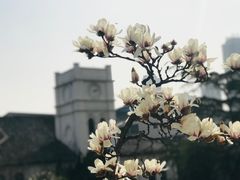 -锡师附小学(学前街校区)