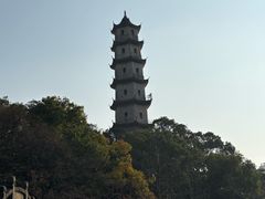 -江心屿景区