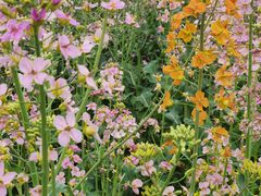 -中国天府农业博览园