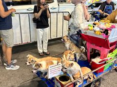 -唐人街(耀华力路)