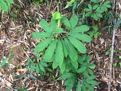 -泡泡玛特POPMART(宁波印象城店)