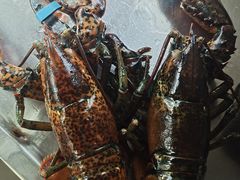 波士顿龙虾-盒马鲜生(皇庭广场店)