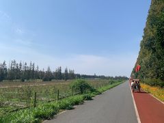 -上海长兴岛郊野公园