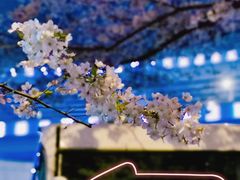 -上海南浦大桥长途旅游客运站