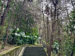 -铁山坪森林公园