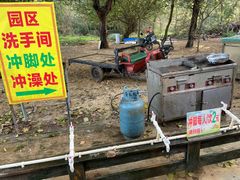 -贝壳沙滩