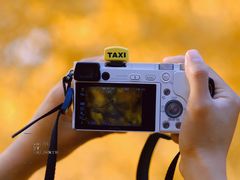 -腾爱熊猫咖啡生活馆(老东门店)