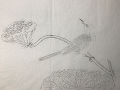 -八哥美术·成人美术画室(总校区)