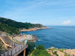 -广东惠东海龟国家级自然保护区
