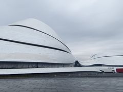 -哈尔滨大剧院